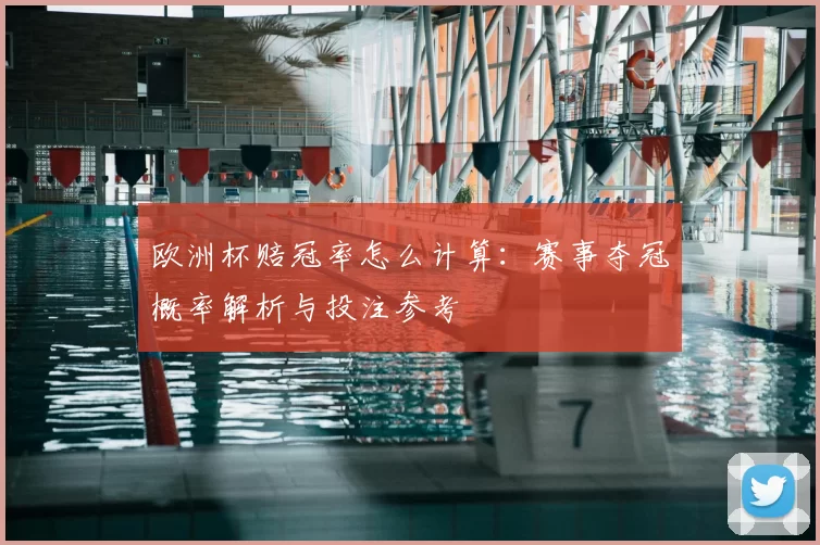 欧洲杯赔冠率怎么计算：赛事夺冠概率解析与投注参考