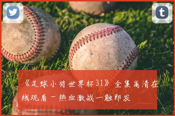 《足球小将世界杯31》全集高清在线观看 - 热血激战一触即发