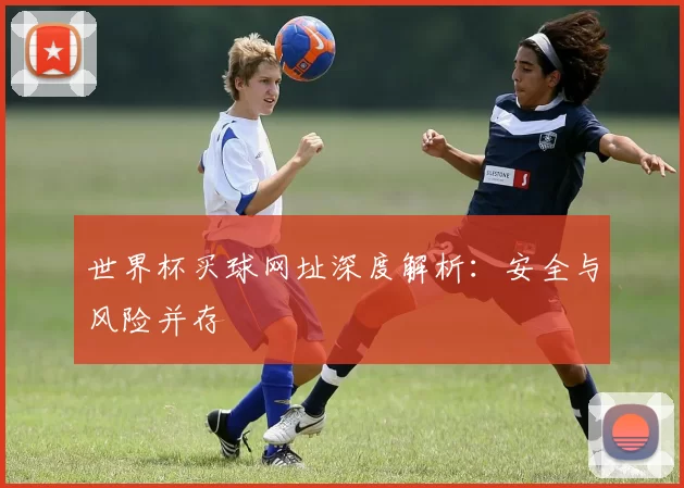世界杯买球网址深度解析：安全与风险并存