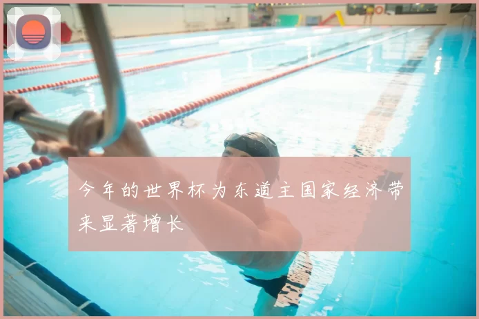 今年的世界杯为东道主国家经济带来显著增长