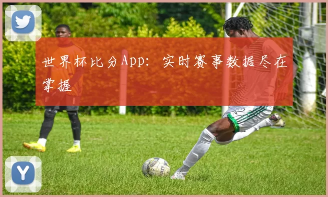 世界杯比分App：实时赛事数据尽在掌握
