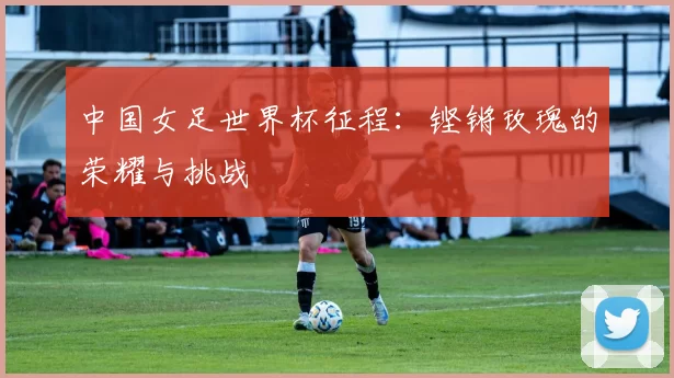 中国女足世界杯征程:铿锵玫瑰的荣耀与挑战
