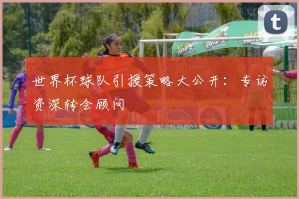 世界杯球队引援策略大公开：专访资深转会顾问