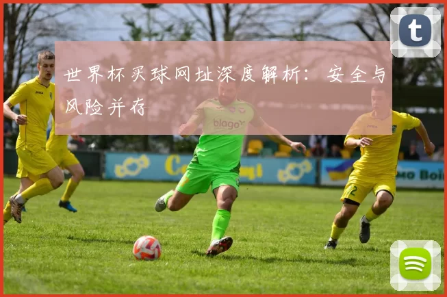 世界杯买球网址深度解析:安全与风险并存