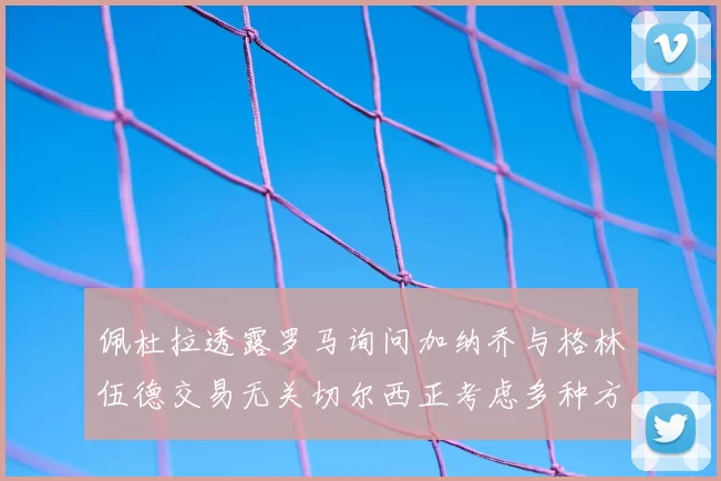 佩杜拉透露罗马询问加纳乔与格林伍德交易无关切尔西正考虑多种方案