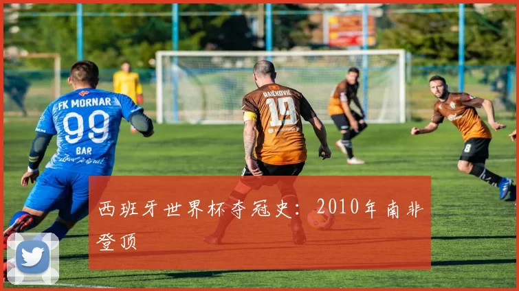 西班牙世界杯夺冠史：2010年南非登顶