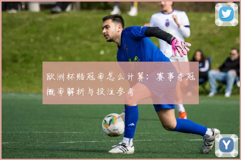 欧洲杯赔冠率怎么计算：赛事夺冠概率解析与投注参考
