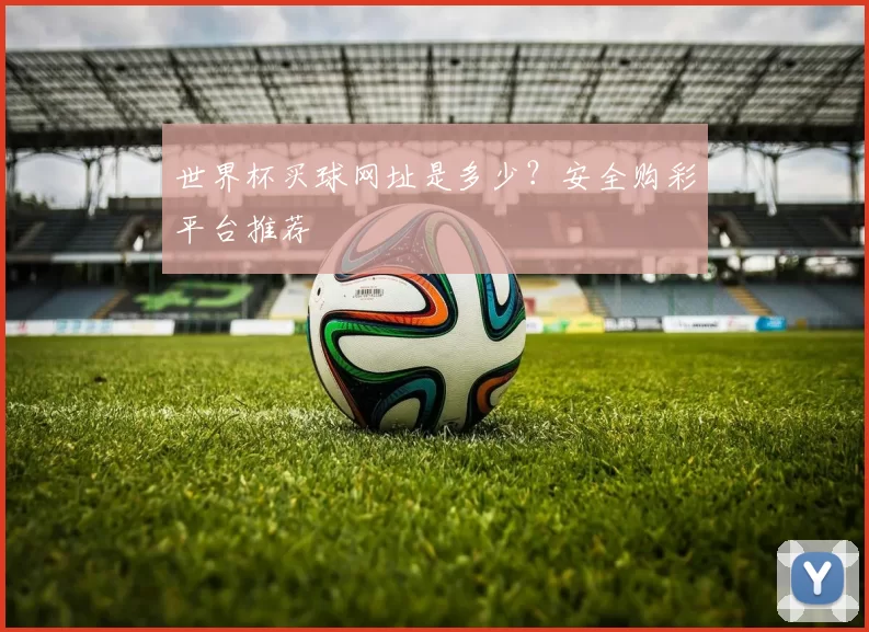 世界杯买球网址是多少?安全购彩平台推荐