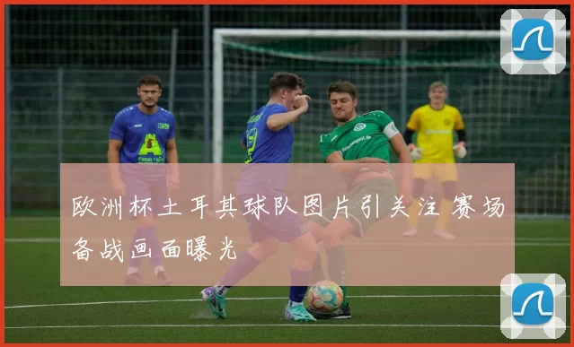 欧洲杯土耳其球队图片引关注 赛场备战画面曝光