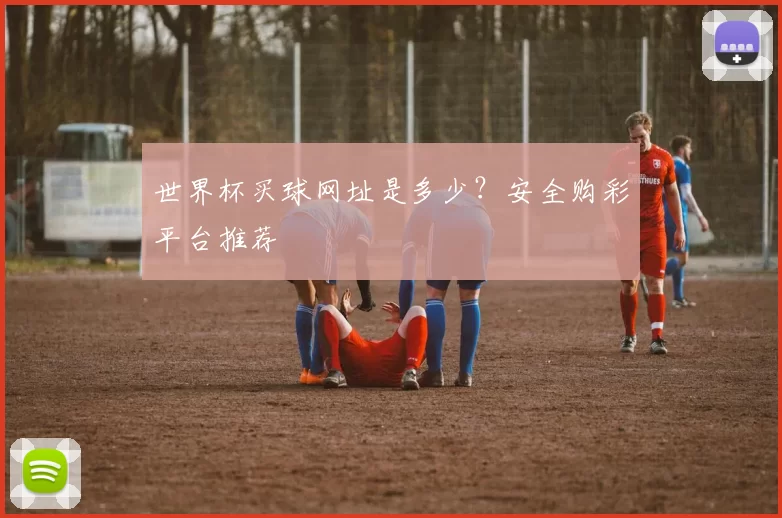 世界杯买球网址是多少？安全购彩平台推荐